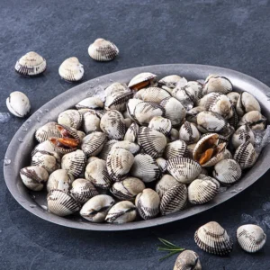 업뎃 정보 꼬막 뜨거운 관심 감사합니다