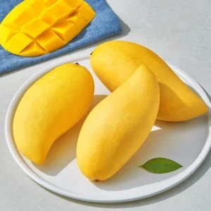 안보면 손해인 이유? 망고 실시간 리뷰입니다