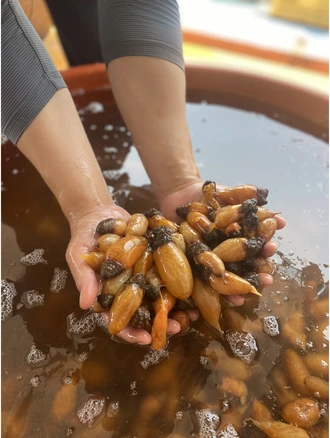 바로확인해야 할 소식 미더덕 후회하지 않습니다