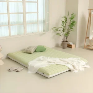 궁금한 소식 바닥매트리스 추천한 이유입니다