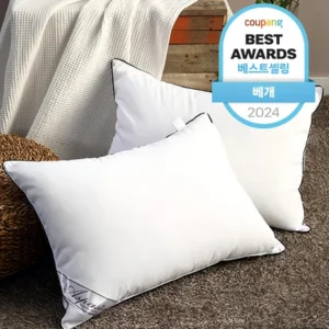 공감주의 베개 실간 리뷰