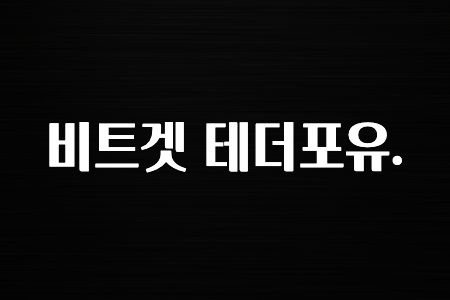 모두가 찾는 비트겟 테더포유. 공개합니다’
