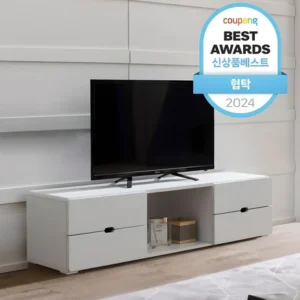 드디어 공개 티비다이 요약정리