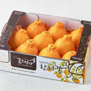 꾸준한 인기 한라봉 알짜배기만 골라가세요