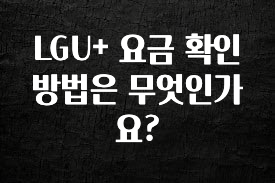 진심이 담긴 LGU+ 요금 확인 방법은 무엇인가요? 추천드릴게요