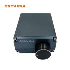 +최신 소식 SOTAMIA TPA3116D2 전력 증폭기 100W 전 범위 스피커 서브우퍼 증폭기 오디오 보드 홈 시어터 미니 앰프 Amplificador 꼭 알아두세요