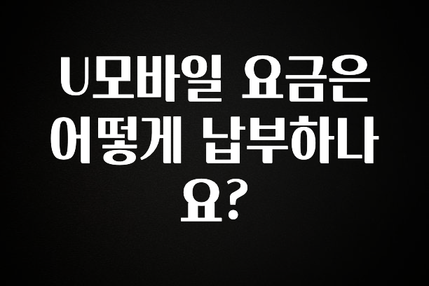 후회하지 않는 U모바일 요금은 어떻게 납부하나요? 주목하고 계십니다