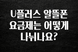 유튜브에서 난리난 정보 U플러스 알뜰폰 요금제는 어떻게 나뉘나요? 알려드립니다