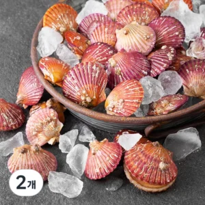 일단 무조건 저장하기 가리비 지금 소개할게요