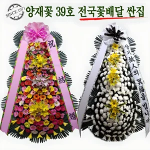 클릭필수 개업화환 지금 소개할게요