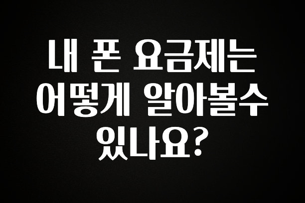 방금 전달받은 내 폰 요금제는 어떻게 알아볼수 있나요? 놓치지마세요