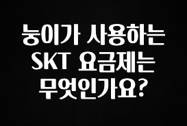 품절이 임박한 눙이가 사용하는 SKT 요금제는 무엇인가요? 뜨거운 관심 감사합니다