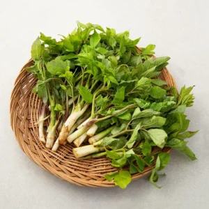 최저가로 모시는 두릅 잠깐 확인해보세요