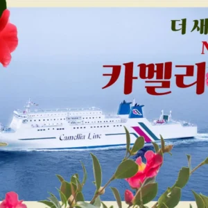 클릭 필 부산후쿠오카배 꼭 확인해보세요