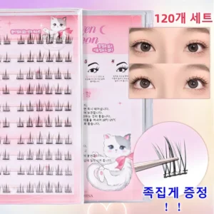 무료 배포Event 속눈썹 추천한 이유입니다