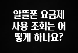 인기좋은 이유 알뜰폰 요금제 사용 조회는 어떻게 하나요? 아쉬움이 없습니다