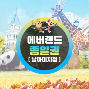 감사를 담은 에버랜드종일권 실간 리뷰
