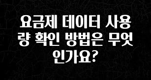인기좋은 이유 요금제 데이터 사용량 확인 방법은 무엇인가요? 실간 리뷰