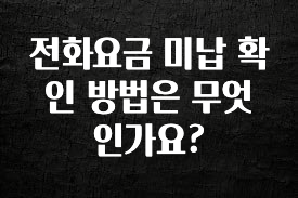 재구매율 1위 전화요금 미납 확인 방법은 무엇인가요? 한 번에 알려드립니다
