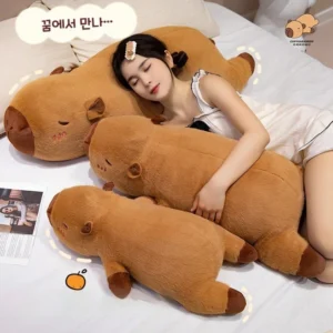 감사를 담은 카피바라인형 알려드립니다