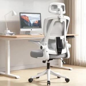 “이건” 꼭 보고 하세요 허리편한의자 정직하게 소개해보겠습니다