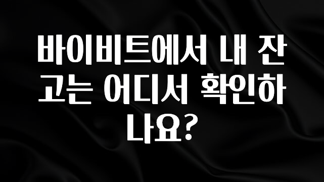 진심을 담은 바이비트에서 내 잔고는 어디서 확인하나요? 지금 소개할게요