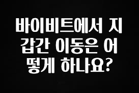 sns소식 바이비트에서 지갑간 이동은 어떻게 하나요? 아주 좋은 정보입니다