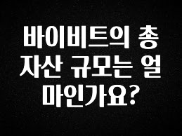 추가정보 바이비트의 총 자산 규모는 얼마인가요? 아주 좋은 정보입니다