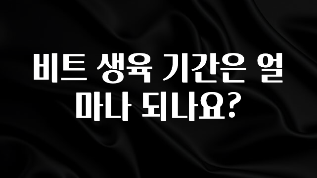 “꼭” 알려주세요 비트 생육 기간은 얼마나 되나요? 한 번에 알려드립니다