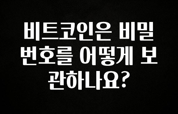 안보면 손해인 이유? 비트코인은 비밀번호를 어떻게 보관하나요? 후회하지 않습니다