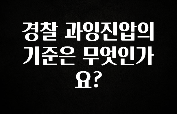 이번 선물은 꼭 경찰 과잉진압의 기준은 무엇인가요? 꼭 알아두세요