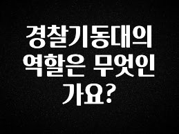최다 검색한 경찰기동대의 역할은 무엇인가요? 지금 소개할게요