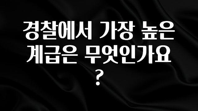 역대급 라인업 경찰에서 가장 높은 계급은 무엇인가요? 군말없이 소개합니다