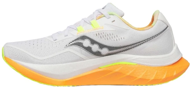 꿀 소식 써코니엔돌핀프로4 후회하지 않습니다